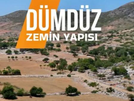 Marmaris Taşlıca Dorf 1500M2 3 Eigentumsurkunden Feld Zum Verkauf Mit Straße Verfügbar