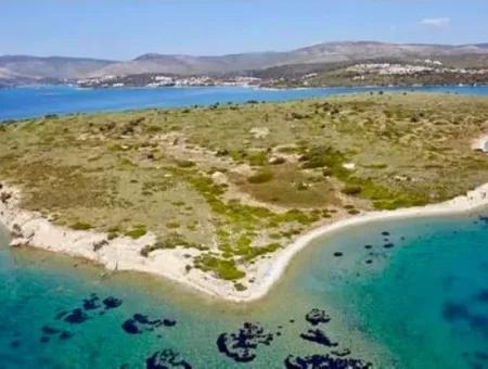 Eine Insel Zum Verkauf Mit Einer Eigentumsurkunde Von 500 Hektar Zum Verkauf Im Bezirk Çeşme In Der Provinz Izmir