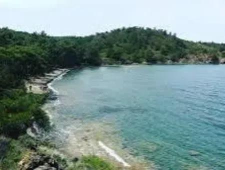 Seaside 4500M2 Suitable Land For Sale In Alavara Neighborhood Of Datça District